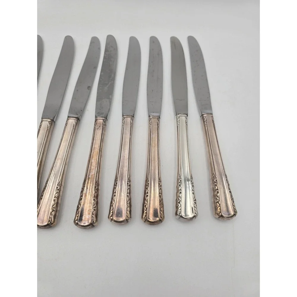Holmes & Edwards May Queen Silverplate Dinner Knives Set of 10 Floral 9.25in